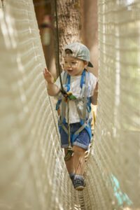 Accrobranche – Natura Game – Albi